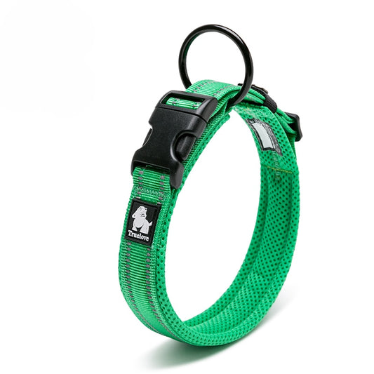 Comfort Padded with Buckle Nylon Traveling Collar